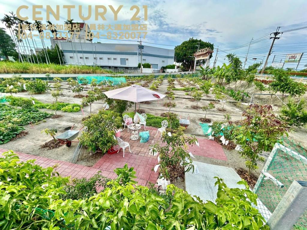 大村大溪路三面路果園