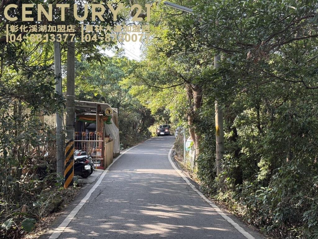 員林藤山步道大面寬林地