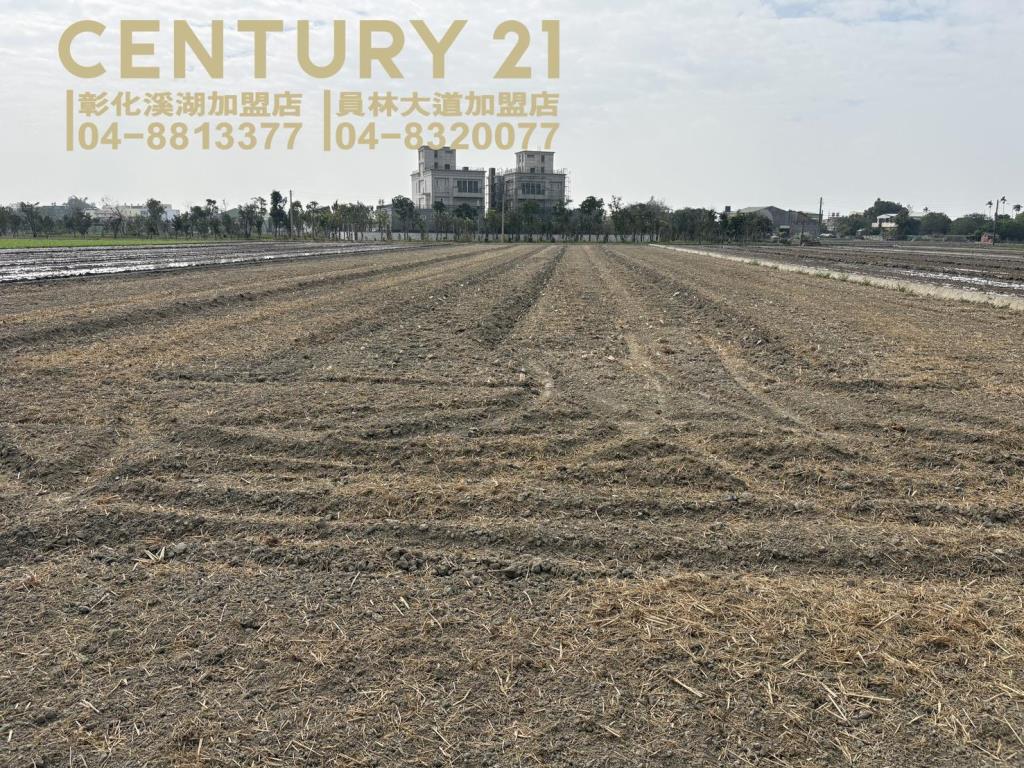 竹塘五庄庄內美田