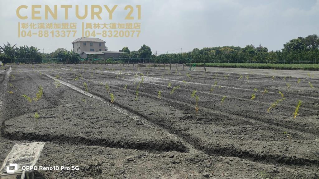 田尾延平路美田