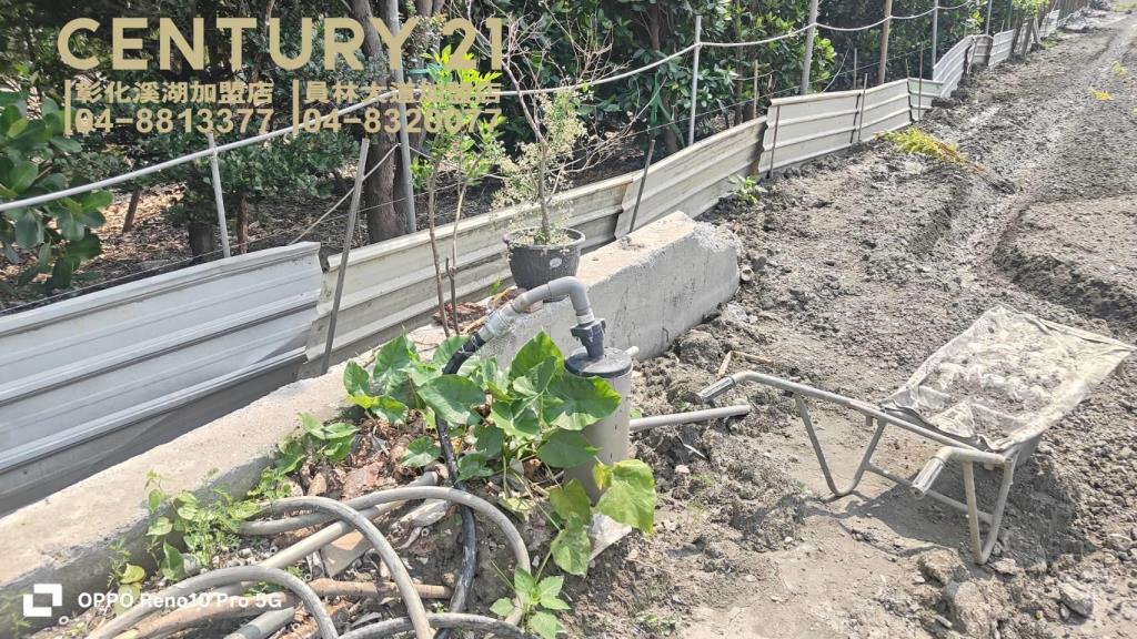 田尾延平路美田