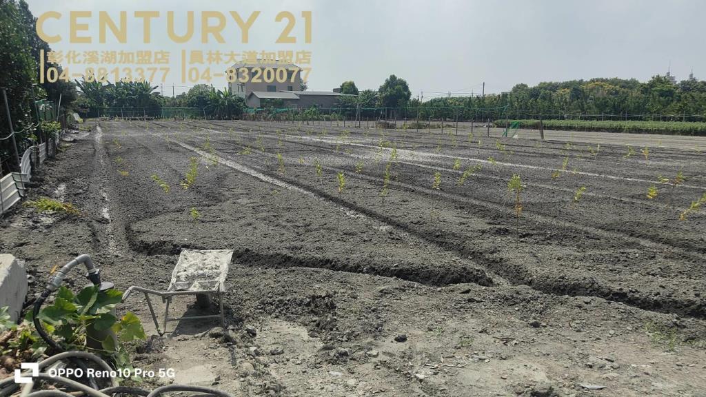 田尾延平路美田