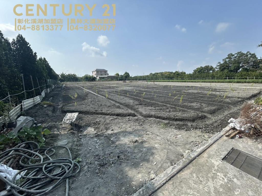 田尾延平路美田