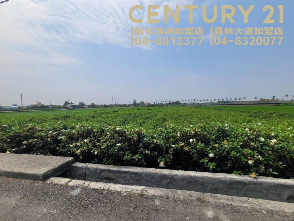 田中近東彰方正美田