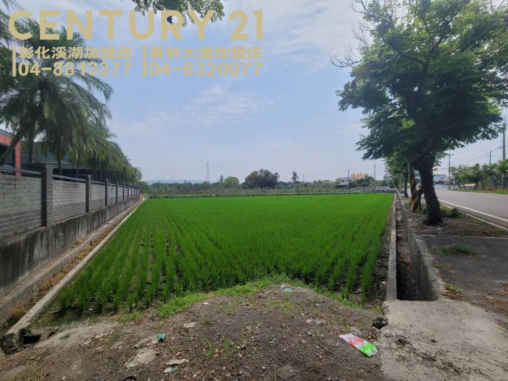 田中近東彰12米路美田