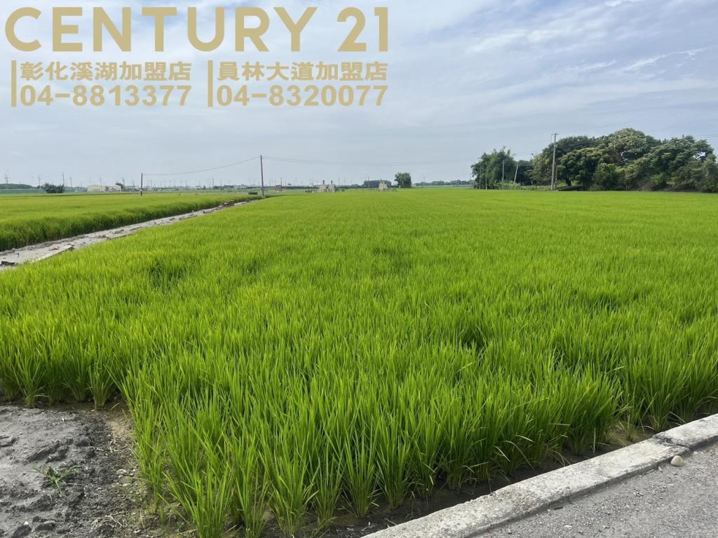 二林二溪路雙面路美田