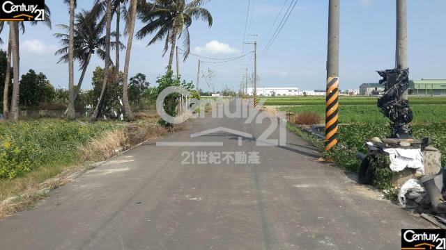 安定新吉一般4分農地