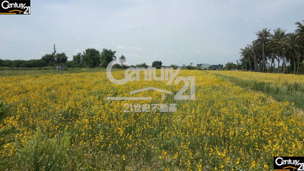 安定新吉一般4分農地