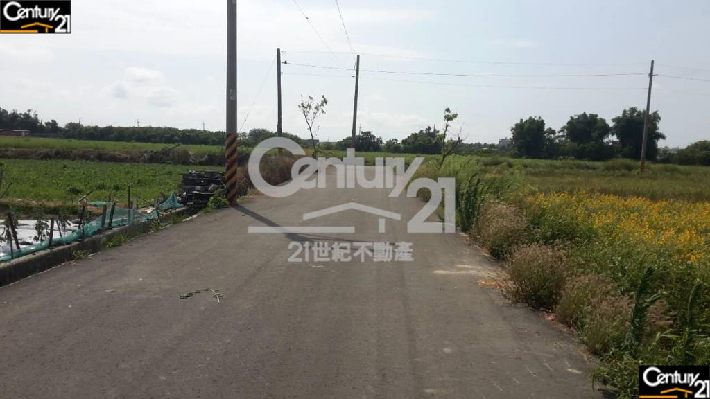 安定新吉一般4分農地