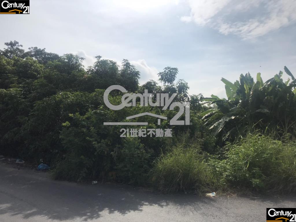 安南都計內道路用地