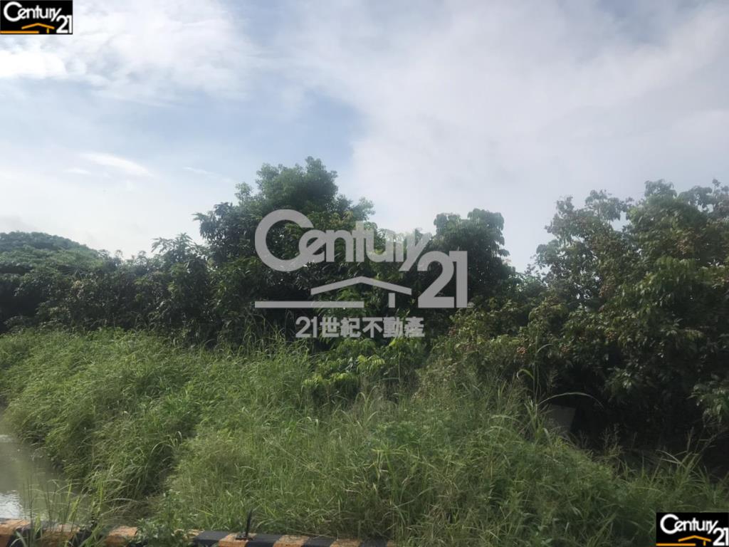 安南都計內道路用地