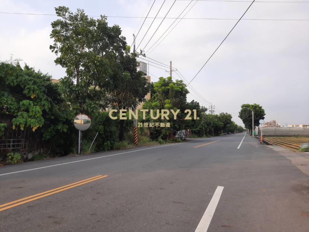 善化2.8分大馬路農地