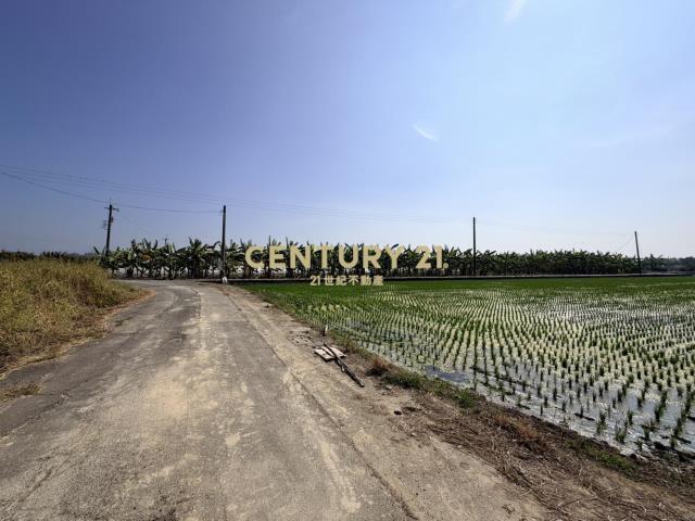 官田社子7.4美農地