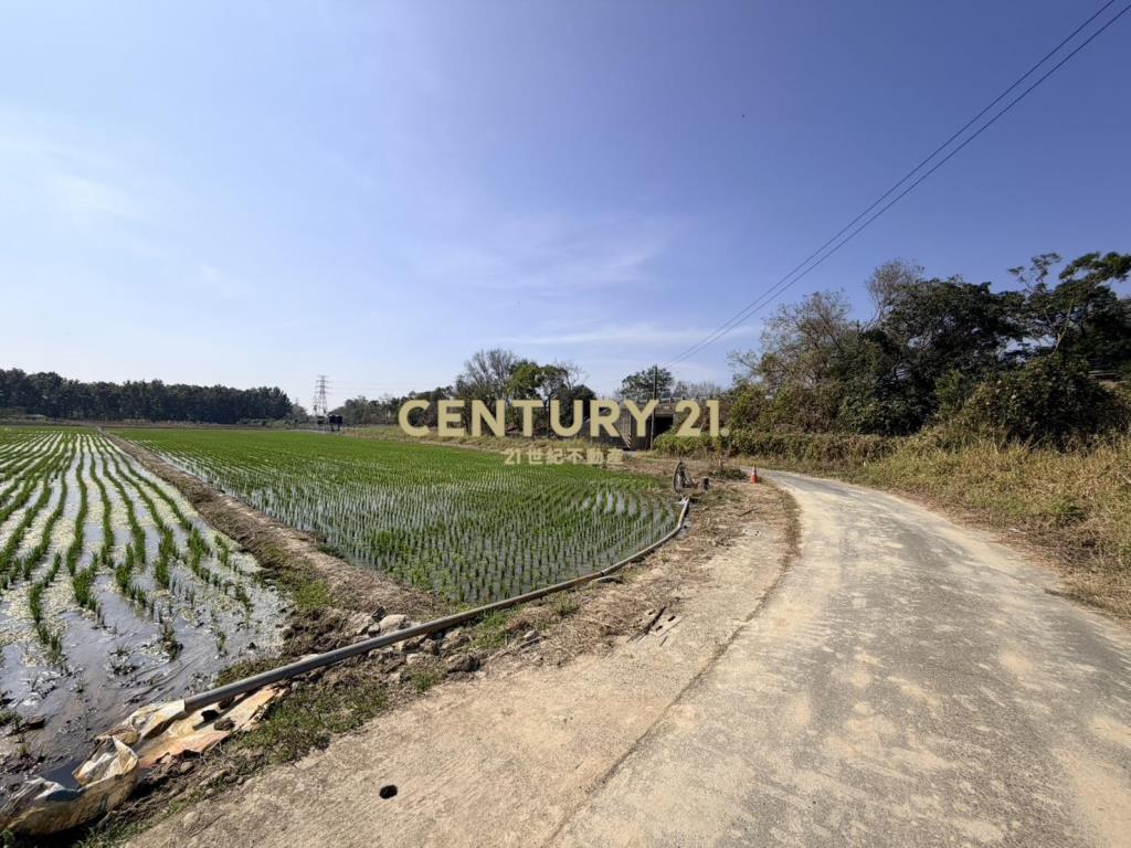 官田社子7.4美農地
