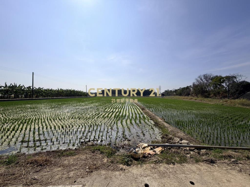 官田社子7.4美農地