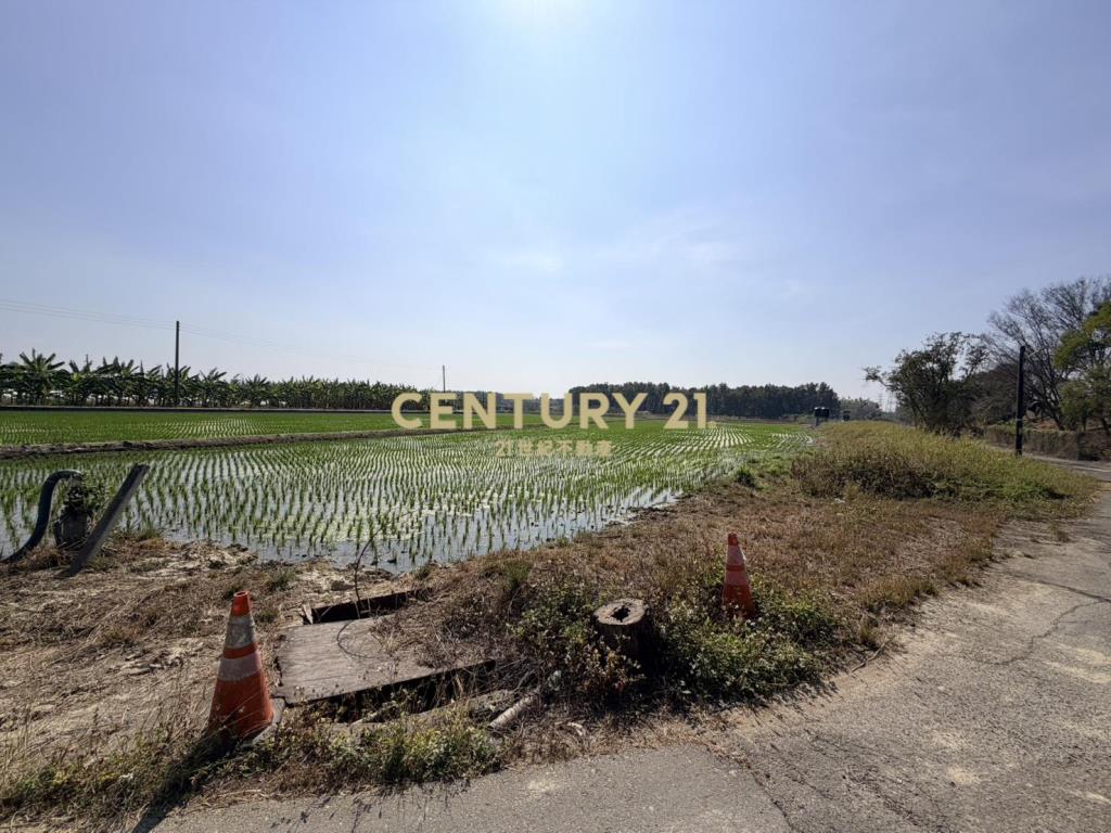 官田社子7.4美農地