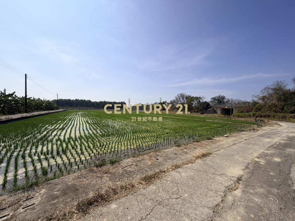 官田社子7.4美農地