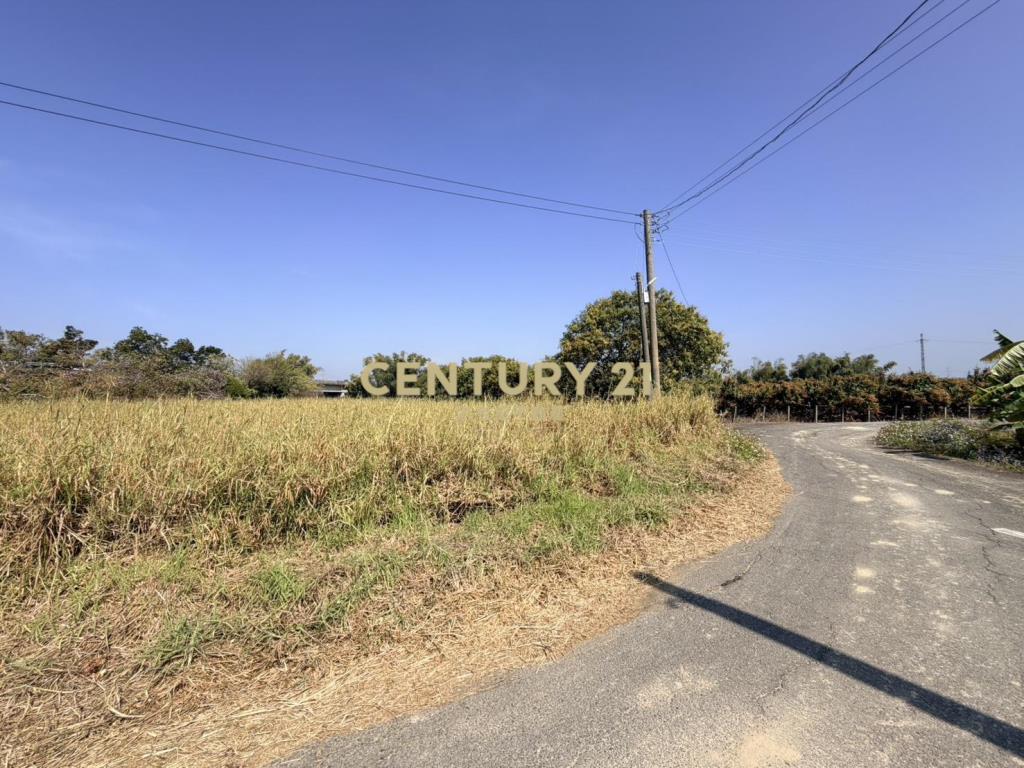 官田社子7.4美農地