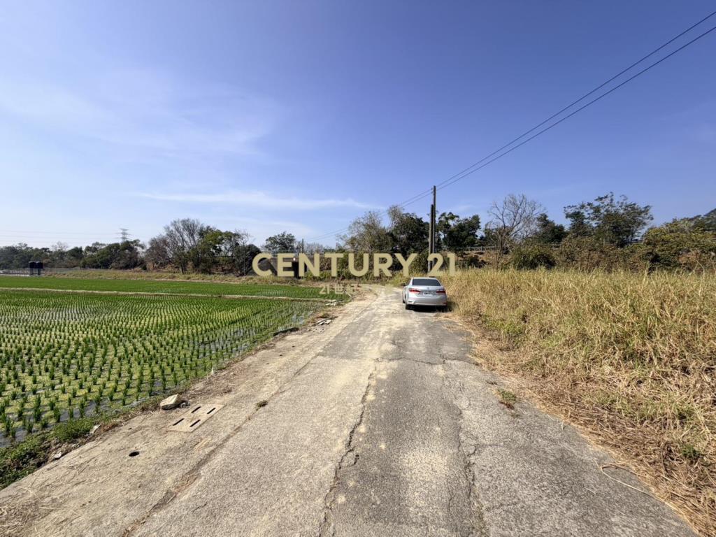 官田社子7.4美農地