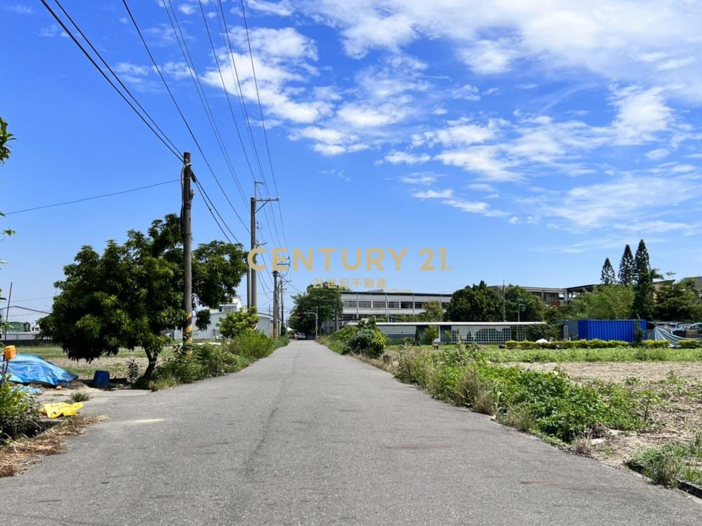 安定南科2.6分有水電一般農地