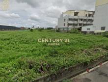 新市一般農地
