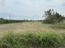 直通烏橋中路麻善段3.4分優質農地
