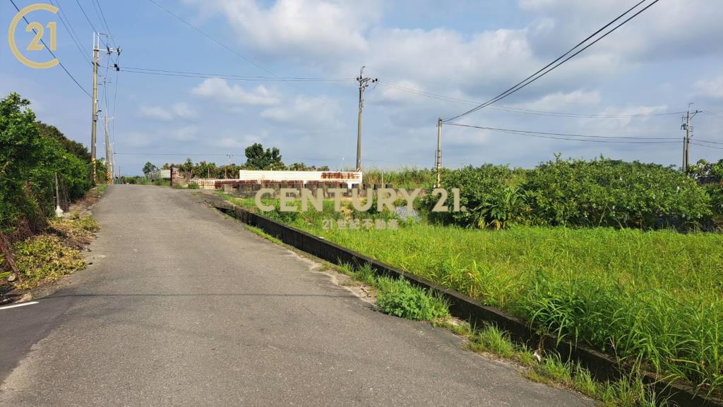 新化頂山腳3.1分農地