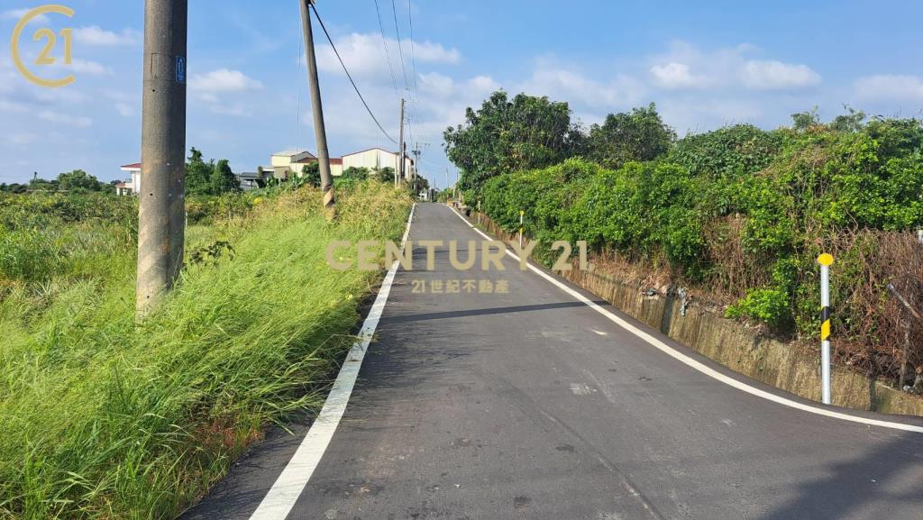 新化頂山腳3.1分農地