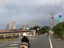 善化什乃牛墟大路旁農地 