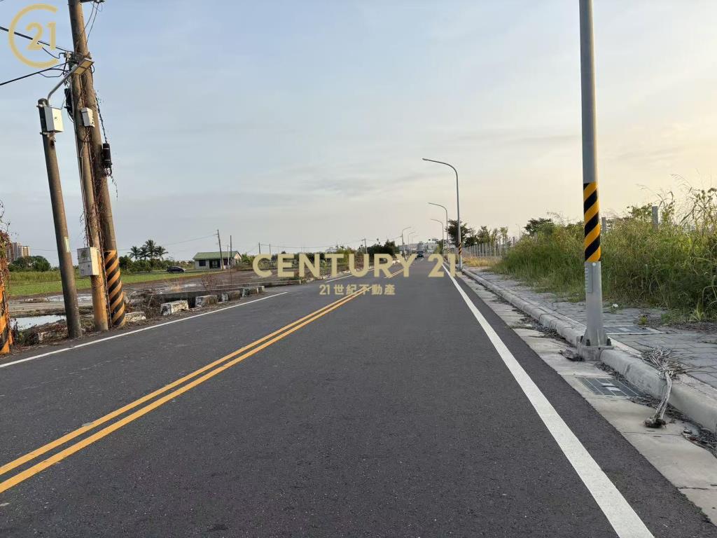 善化FG善特段386坪方正建地