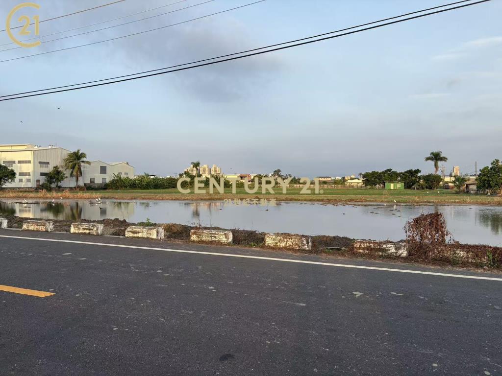 善化FG善特段386坪方正建地