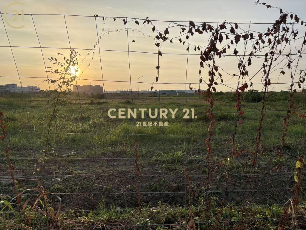 善化FG善特段386坪方正建地