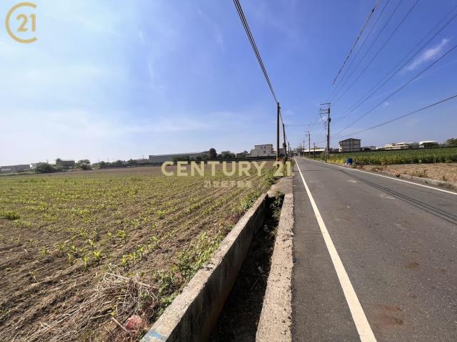 安定港子尾美農地