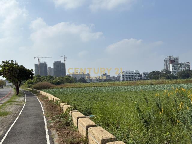 西拉雅大道旁都內農地