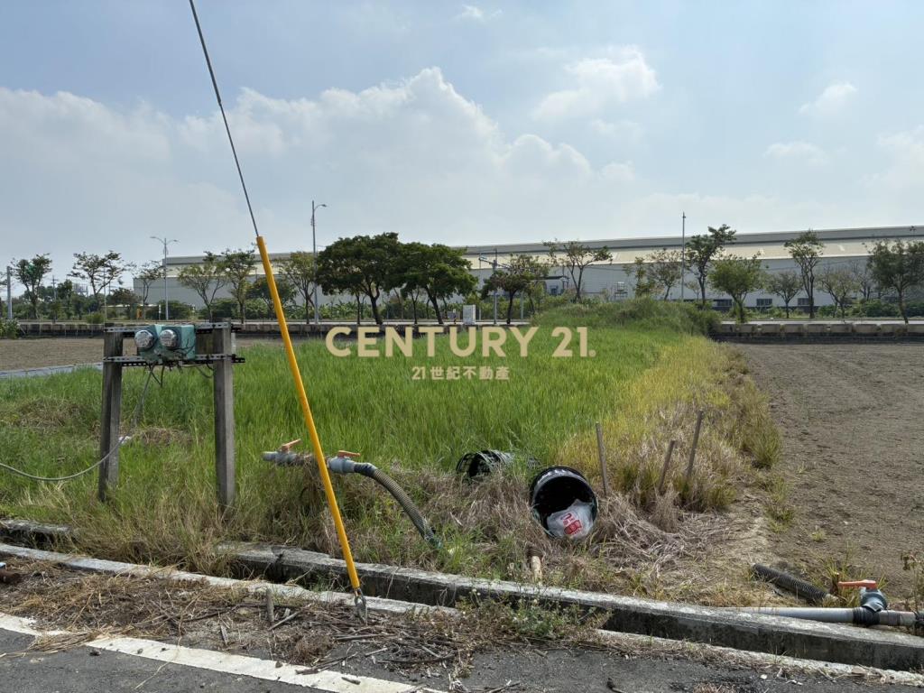 西拉雅大道旁都內農地