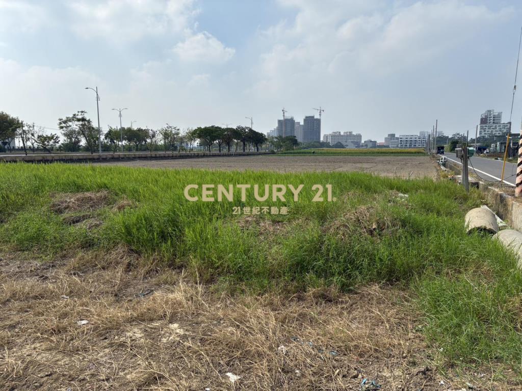 西拉雅大道旁都內農地