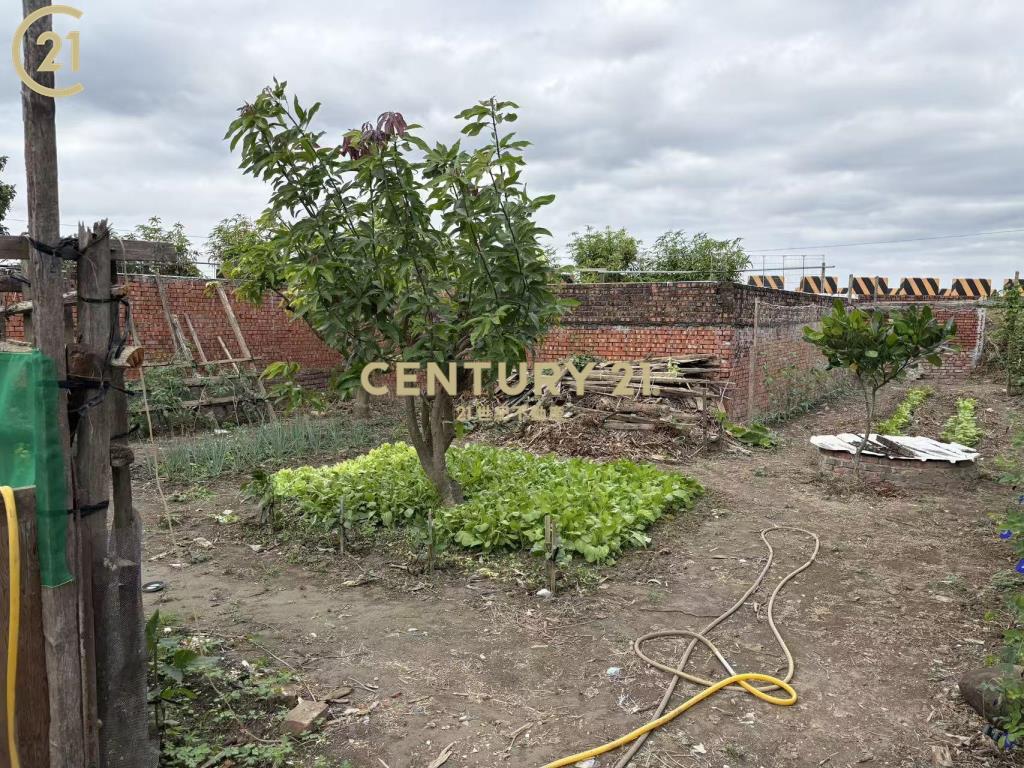 善化胡厝寮近南科１５５坪建地