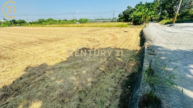 官田遊客中心好風光3分美都農