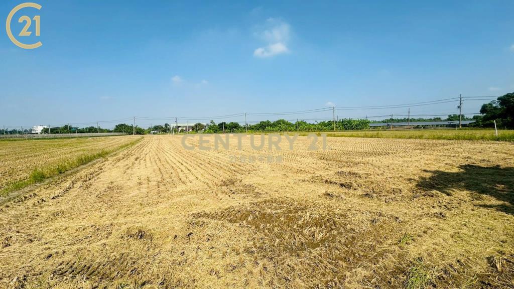 官田遊客中心好風光3分美都農