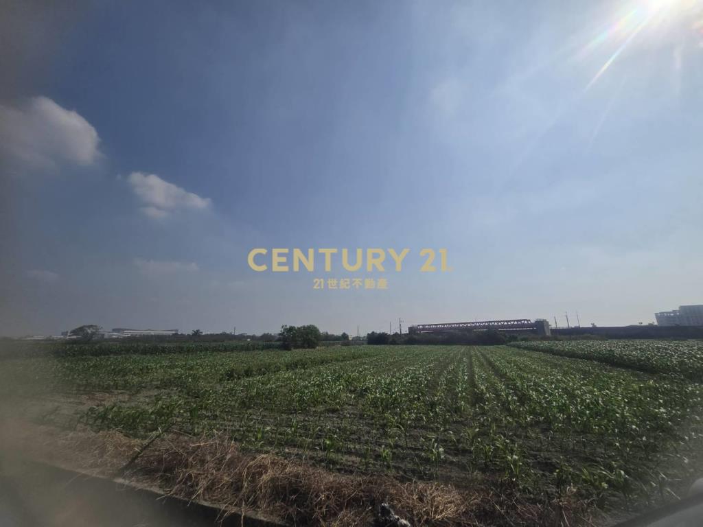 安定樹谷旁增值農地