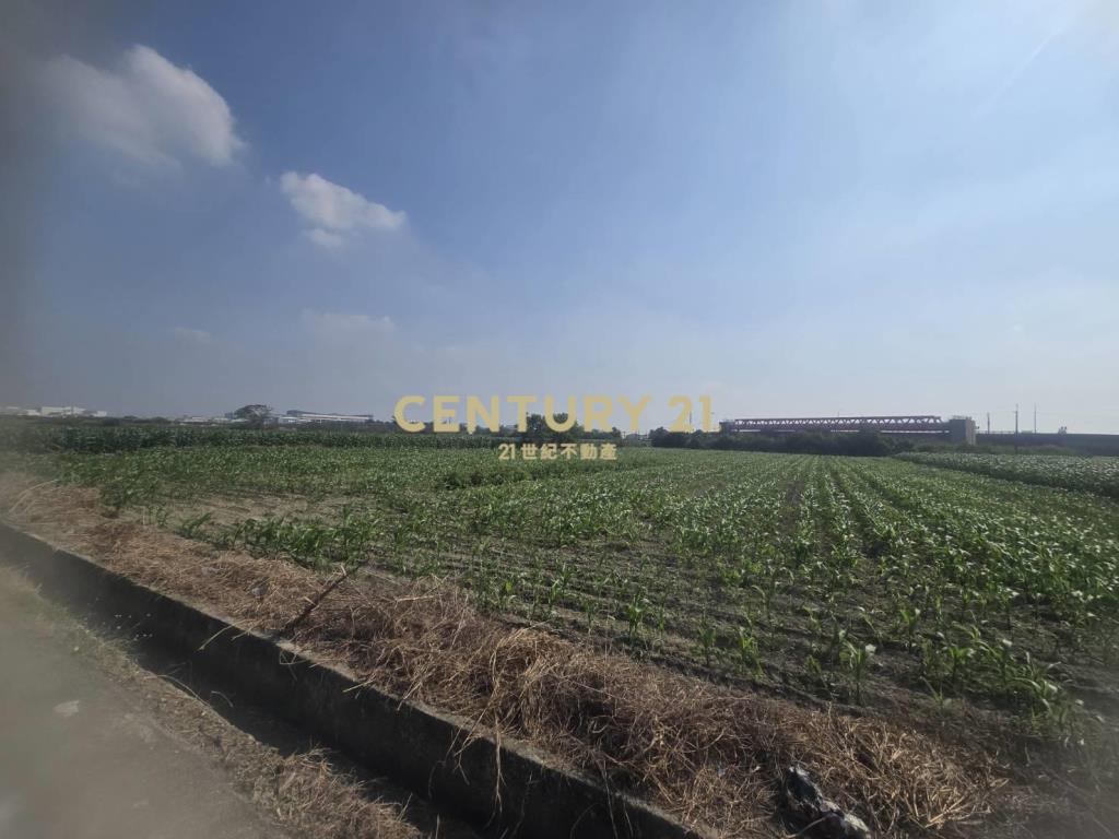 安定樹谷旁增值農地