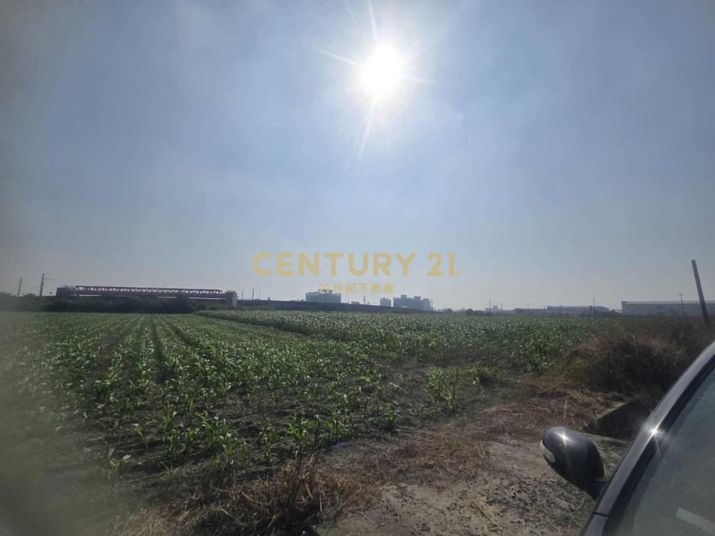 安定樹谷旁增值農地