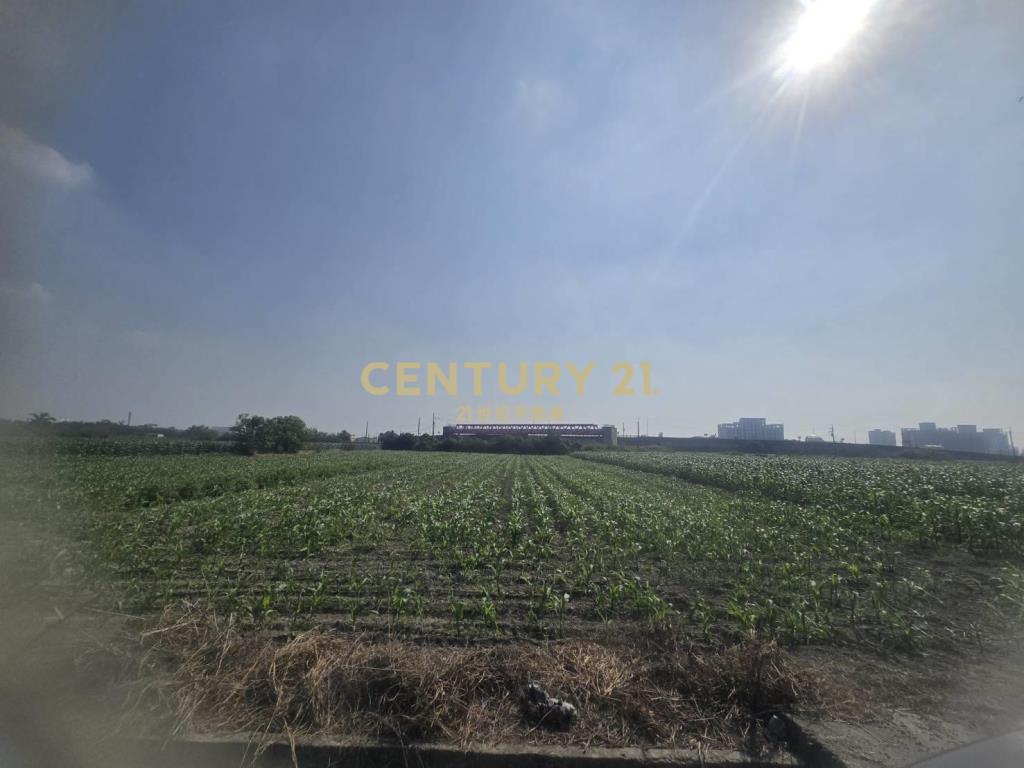 安定樹谷旁增值農地