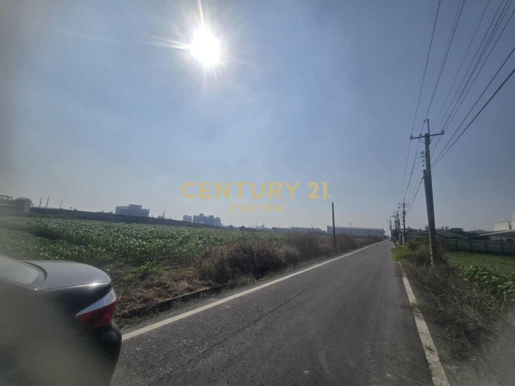 安定樹谷旁增值農地