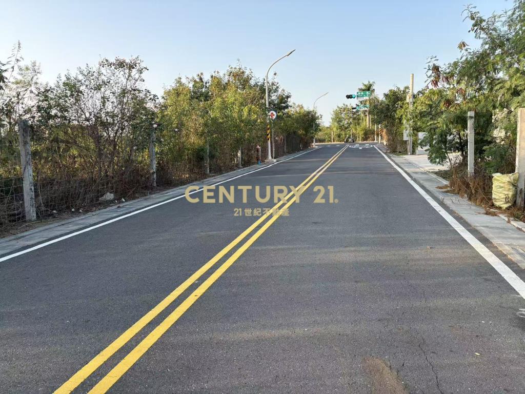 麻豆工業區三角窗228坪乙工