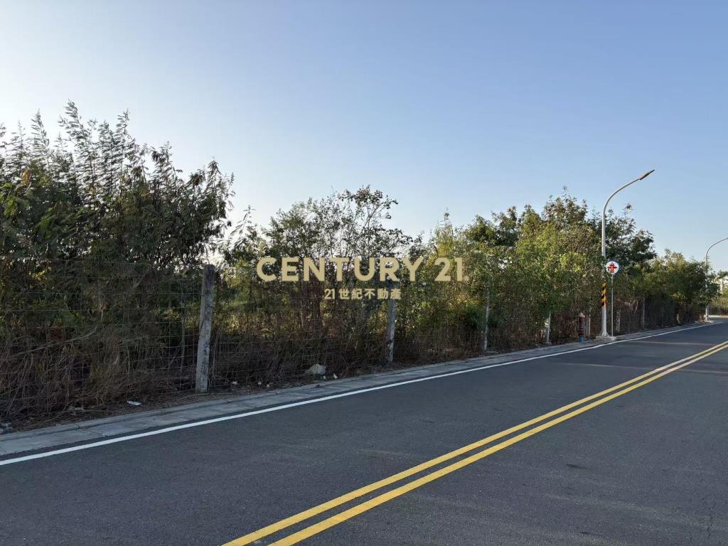 麻豆工業區三角窗228坪乙工