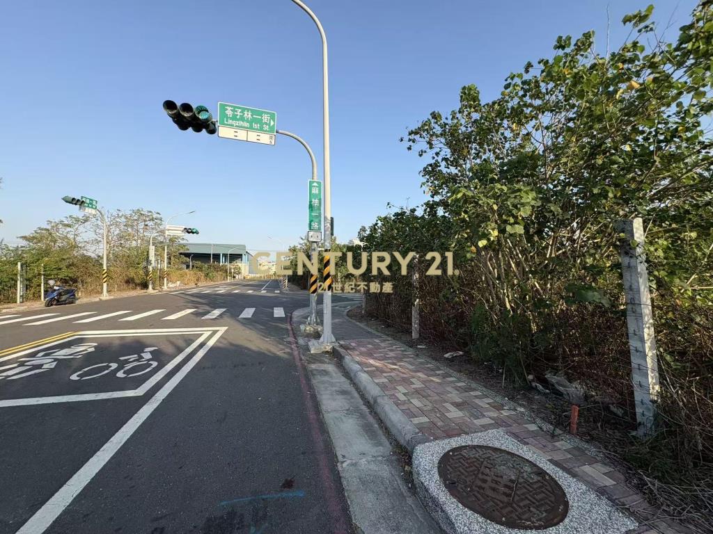 麻豆工業區三角窗228坪乙工