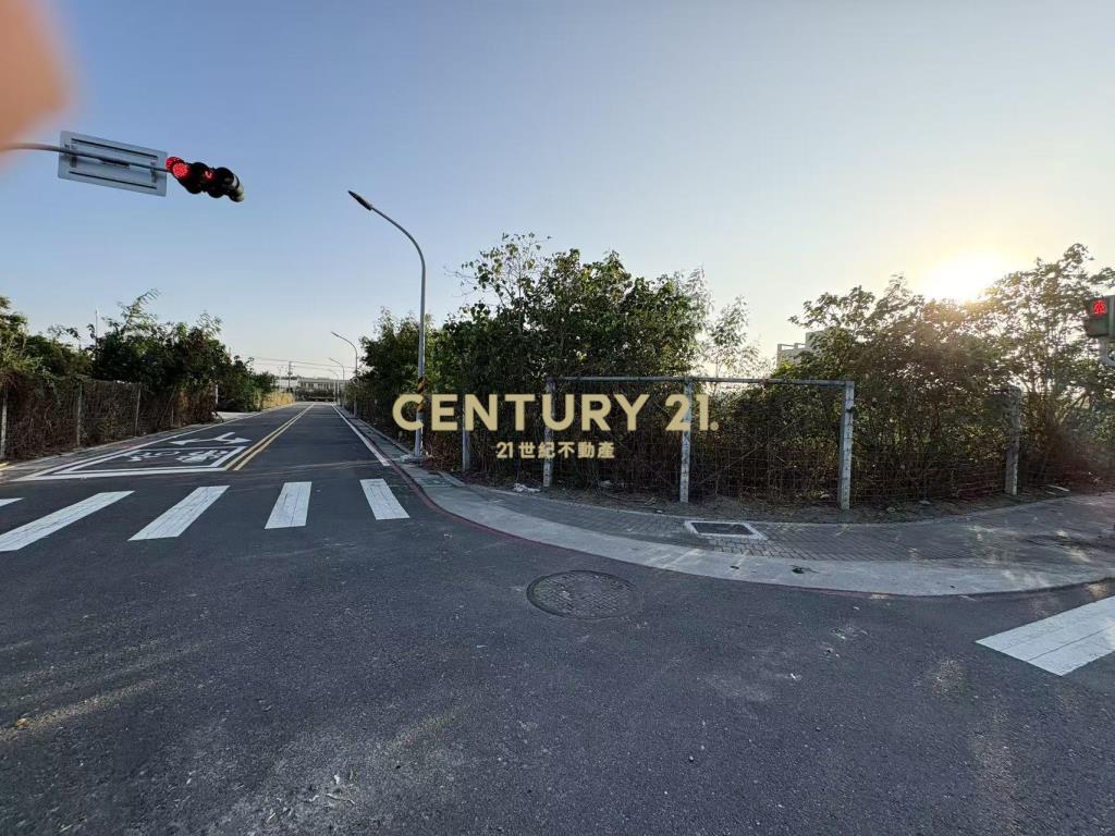 麻豆工業區三角窗228坪乙工