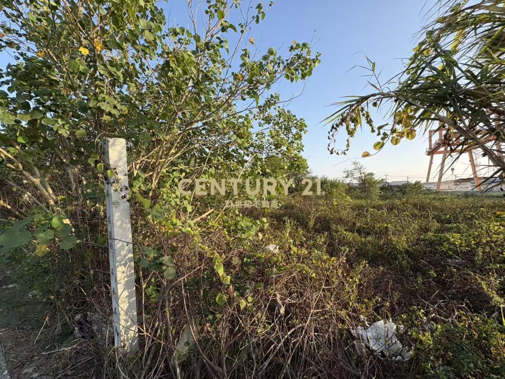 麻豆工業區三角窗228坪乙工