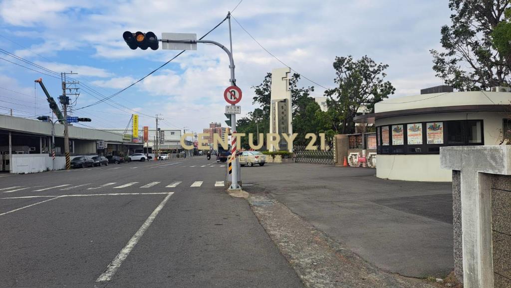 麻豆雙面路小而美文旦農地